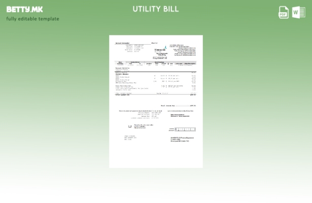 Модерен стил САД Минесота Минеаполис Градот на езерата Шаблон за комунални сметк